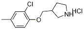 2-Chloro-4-methylphenyl 3-pyrrolidinylmethyl-ether hydrochloride Struktur