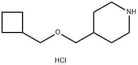 Cyclobutylmethyl 4-piperidinylmethyl etherhydrochloride Struktur