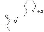 2-(2-Piperidinyl)ethyl 2-methylpropanoatehydrochloride Struktur