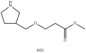 Methyl 3-(3-pyrrolidinylmethoxy)propanoatehydrochloride Struktur