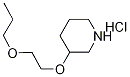 3-(2-Propoxyethoxy)piperidine hydrochloride Struktur