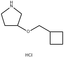 3-(Cyclobutylmethoxy)pyrrolidine hydrochloride Struktur