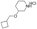 3-(Cyclobutylmethoxy)piperidine hydrochloride Struktur