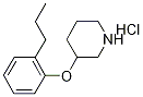 3-(2-Propylphenoxy)piperidine hydrochloride Struktur