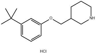 3-(tert-Butyl)phenyl 3-piperidinylmethyl etherhydrochloride Struktur