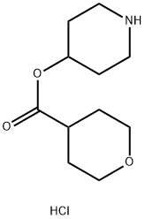 4-Piperidinyl tetrahydro-2H-pyran-4-carboxylatehydrochloride Struktur