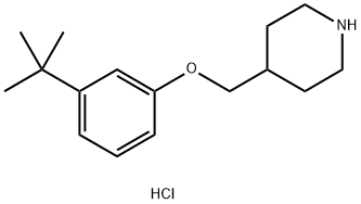 3-(tert-Butyl)phenyl 4-piperidinylmethyl etherhydrochloride Struktur