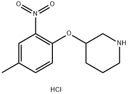 3-(4-Methyl-2-nitrophenoxy)piperidinehydrochloride Struktur