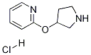 2-(3-PYRROLIDINYLOXY)-PYRIDINE HYDROCHLORIDE Struktur