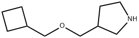 3-Cyclobutylmethoxymethyl-pyrrolidine Struktur