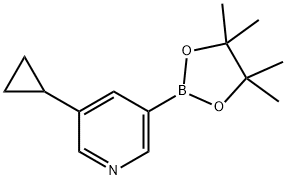 3-cyclopropyl-5-(4,4,5,5-tetramethyl-1,3,2-dioxaborolan-2-yl)pyridine Struktur