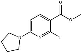 Methyl 2-fluoro-6-(pyrrolidin-1-yl)nicotinate Struktur