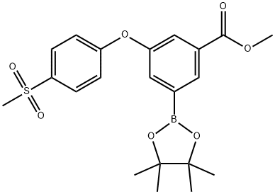 Methyl 3-(4-Methanesulfonylphenoxy)-5-(tetraMethyl-
1,3,2-dioxaborolan-2-yl)benzoate Struktur