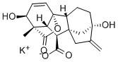 GIBBERELLIC ACID POTASSIUM SALT