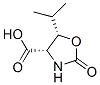 4-Oxazolidinecarboxylicacid,5-(1-methylethyl)-2-oxo-,(4S-cis)-(9CI) Struktur