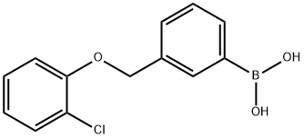 3-(2-ChlorophenoxyMethyl)phenylboronic acid Struktur