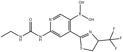 6-(3-ethylureido)-4-(4-(trifluoroMethyl)-4,5-dihydrothiazol-2-yl)pyridin-3-ylboronic acid Struktur