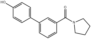 4-(3-Pyrrolidinylcarbonylphenyl)phenol Struktur