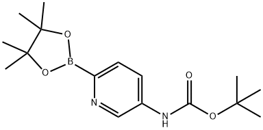 Boc-5-AMinopyridine-2-boronic acid pinacol ester Struktur