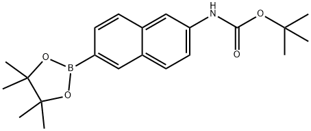 1312611-41-8 結構式