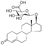 Nandrolone β-D-Glucuronide Struktur