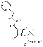 PHENETHICILLIN POTASSIUM SALT