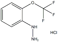 2-三氟甲氧基苯肼(HCL) 結(jié)構(gòu)式