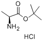 L-Ala-OtBU.HCl