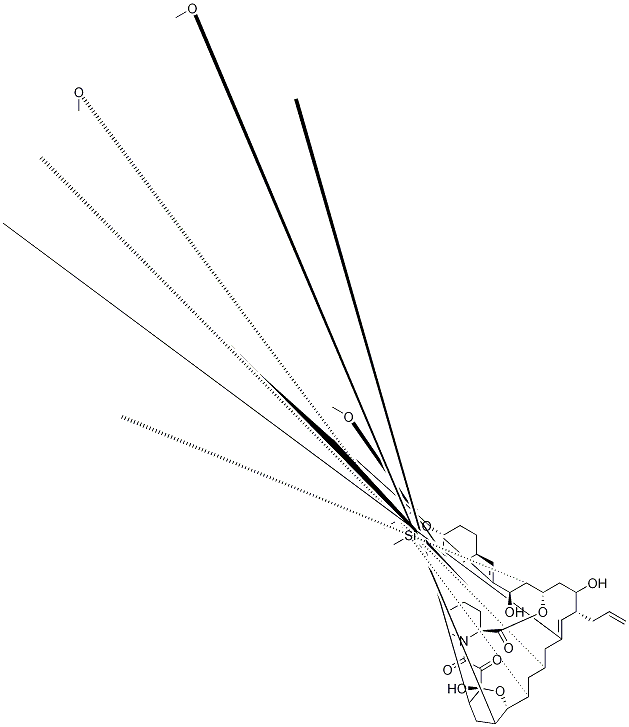 5-Hydroxy-33-tert-butyldiMethylsilyloxy-iso-FK-506 Struktur