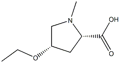 Proline, 4-ethoxy-1-methyl-, L-cis- (8CI) Struktur