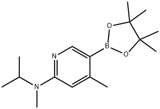 N-isopropyl-N,4-diMethyl-5-(4,4,5,5-tetraMethyl-1,3,2-dioxaborolan-2-yl)pyridin-2-aMine Struktur