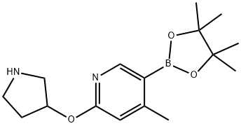 4-Methyl-2-(pyrrolidin-3-yloxy)-5-(4,4,5,5-tetraMethyl-1,3,2-dioxaborolan-2-yl)pyridine Struktur