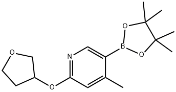 4-Methyl-2-((tetrahydrofuran-3-yl)oxy)-5-(4,4,5,5-tetraMethyl-1,3,2-dioxaborolan-2-yl)pyridine Struktur