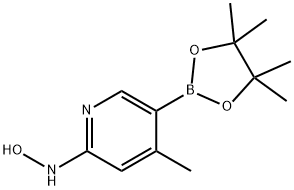 N-(4-Methyl-5-(4,4,5,5-tetraMethyl-1,3,2-dioxaborolan-2-yl)pyridin-2-yl)hydroxylaMine Struktur