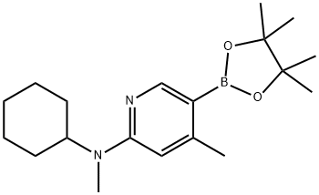 N-cyclohexyl-N,4-diMethyl-5-(4,4,5,5-tetraMethyl-1,3,2-dioxaborolan-2-yl)pyridin-2-aMine Struktur