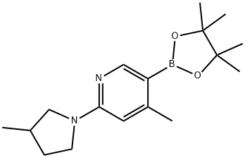 4-Methyl-2-(3-Methylpyrrolidin-1-yl)-5-(4,4,5,5-tetraMethyl-1,3,2-dioxaborolan-2-yl)pyridine Struktur