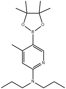 4-Methyl-N,N-dipropyl-5-(4,4,5,5-tetraMethyl-1,3,2-dioxaborolan-2-yl)pyridin-2-aMine Struktur