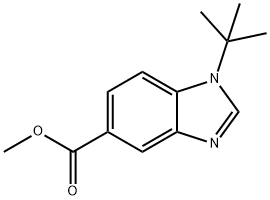 Methyl 1-tert-butylbenzoiMidazole-5-carboxylate Struktur