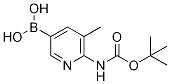 2-tert-ButyloxycarbonylaMino-3-Methylpyridine-5-boronic acid Struktur