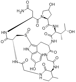 GAMMA-AMANITIN Struktur