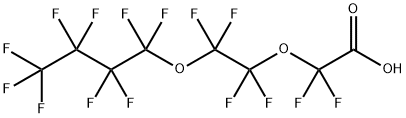 PERFLUORO-3,6-DIOXADECANOIC ACID Struktur