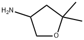 5,5-dimethyltetrahydrofuran-3-amine Struktur