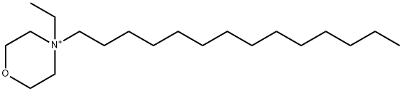 4-Tetradecyl-4-ethylmorpholinium Struktur