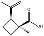 Cyclobutanecarboxylic acid, 1-methyl-2-(1-methylethenyl)-, (1S-cis)- (9CI) Struktur