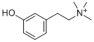 Leptodactyline Struktur