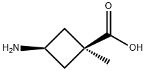 cis-3-Amino-1-methylcyclobutanecarboxylic acid Struktur