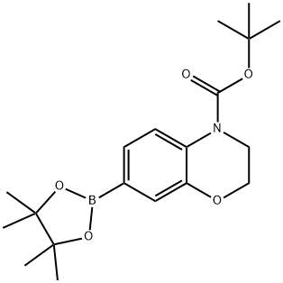 tert-butyl 7-(4,4,5,5-tetraMethyl-1,3,2-dioxaborolan-2-yl)-2H-benzo[b][1,4]oxazine-4(3H)-carboxylate Struktur