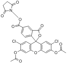 5(6)-CARBOXY-2',7'-DICHLOROFLUORESCEIN DIACETATE N-SUCCINIMIDYL ESTER price.