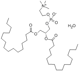 1,2-DIPALMITOYL-SN-GLYCERO-3-PHOSPHO-CHO LINE MONOHYDRATE Struktur