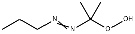 2-PROPYLAZO-2-PROPYLHYDROPEROXIDE Struktur